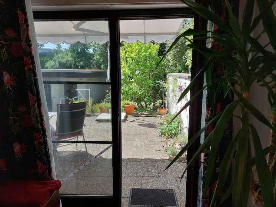 Grosszuegige Wohnung Mit Terrasse Wuerzburg, Zell Zell am Main Eksteriør bilde